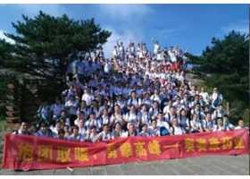某著名药业公司